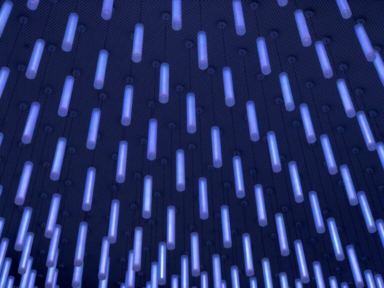 Международный форум для молодежи «youth for the future»